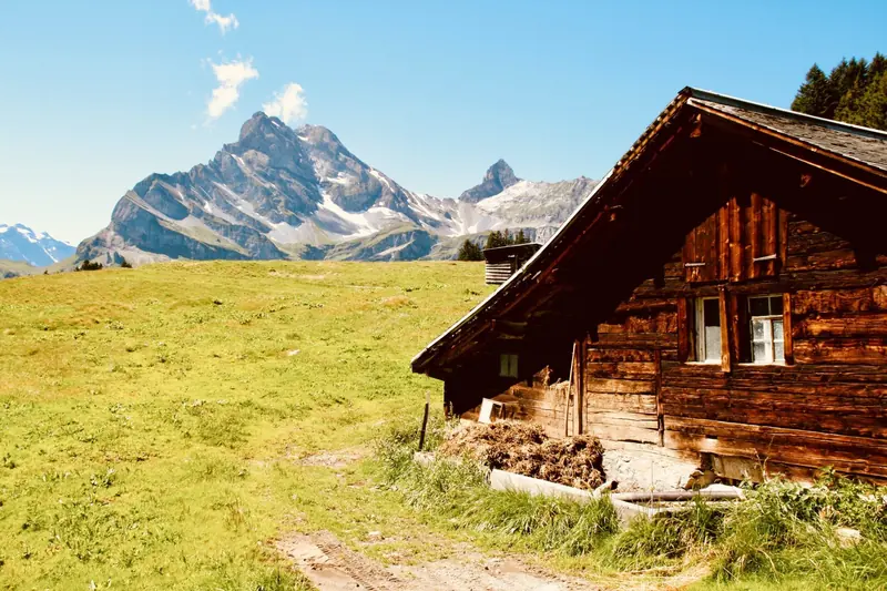 An old wooden alp hut in a sunny mountain meadow
