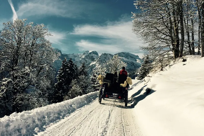 Horse and carriage on a snowy road through the trees