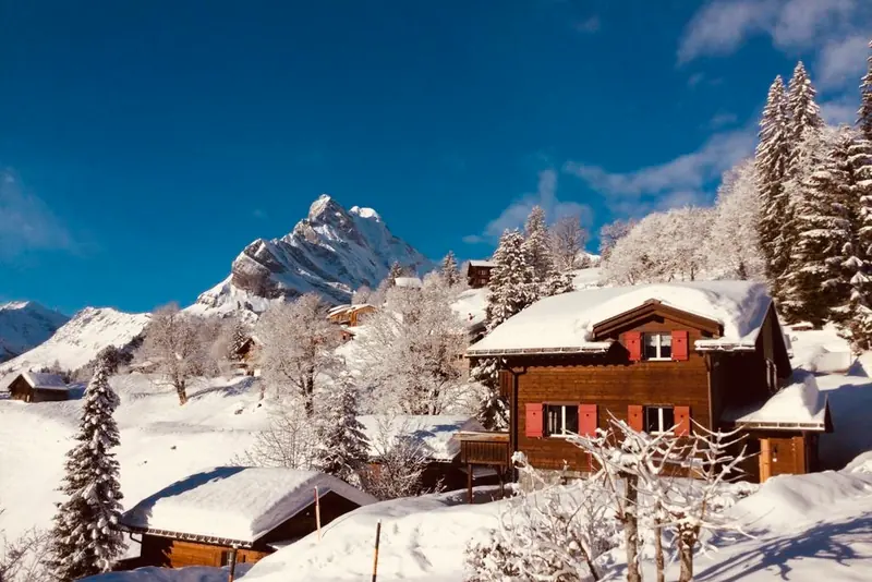 The chalet among snowy trees, a peak behind it