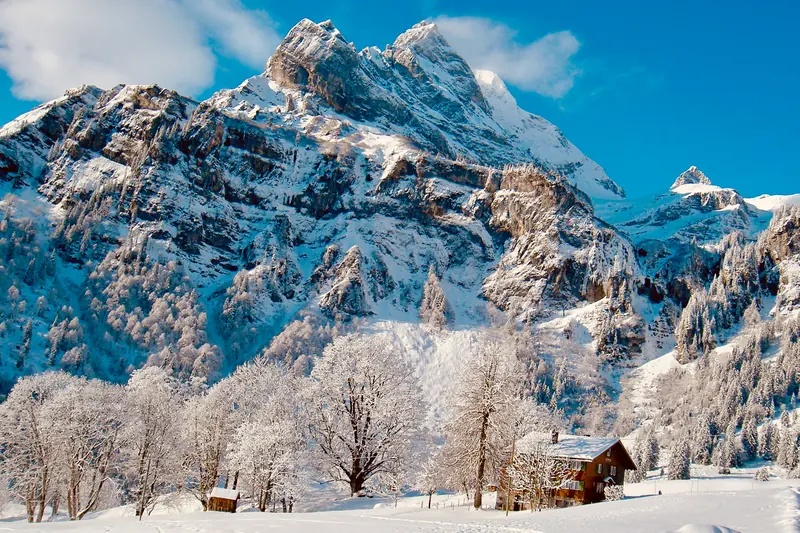 A snowy mountain face above frosted trees and a chalet