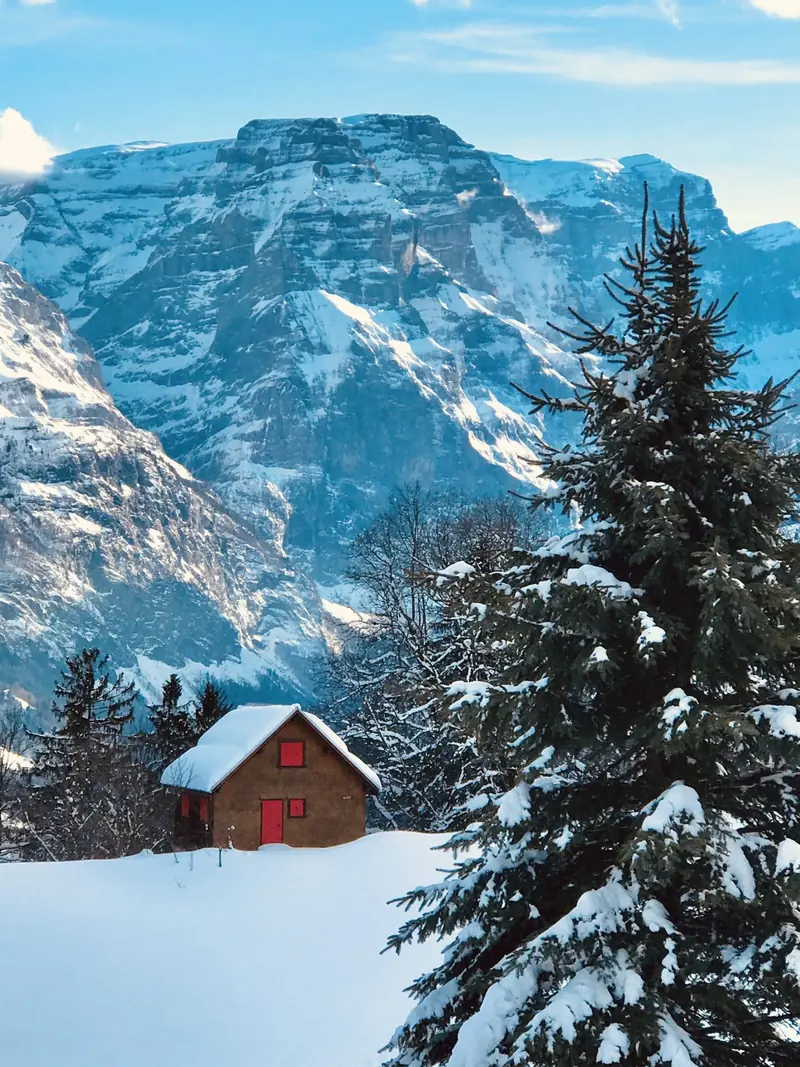 A hut with a red door beside a snowy fir, a mountain face behind