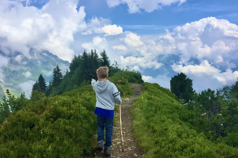 A boy with a walking stick points at the clouds