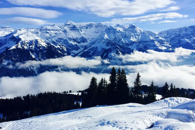 A sea of clouds in the valley, snowy peaks above