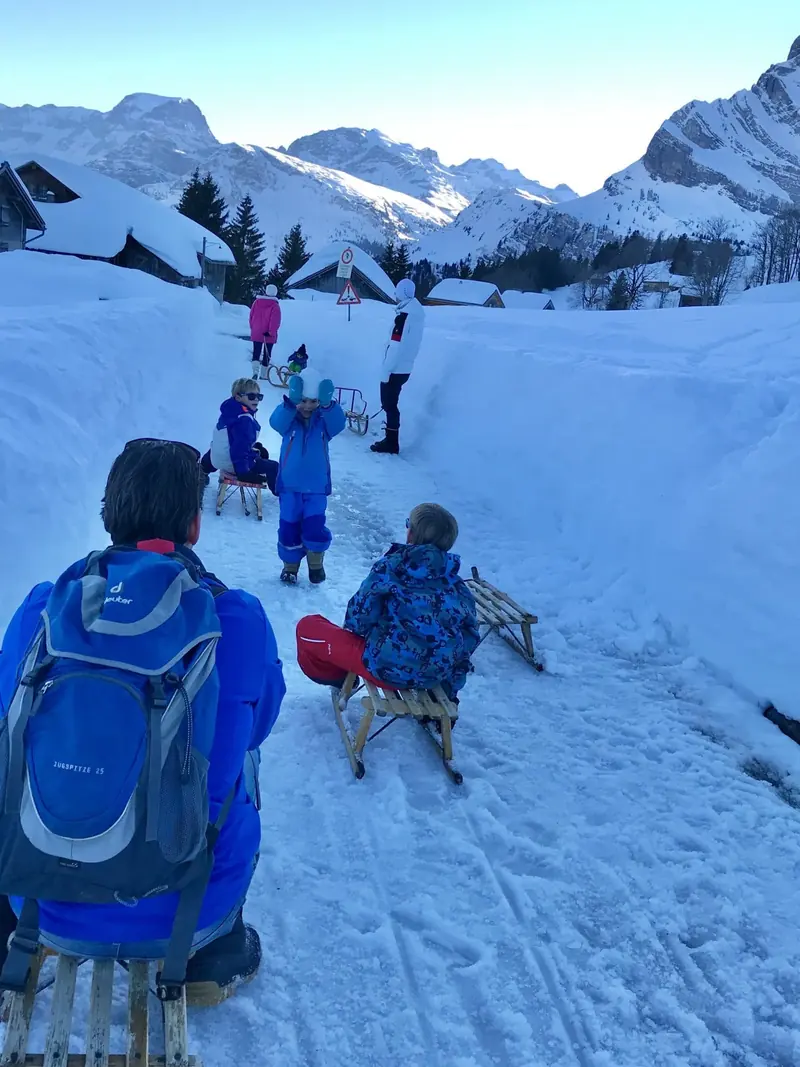 With sledges on a snowy road