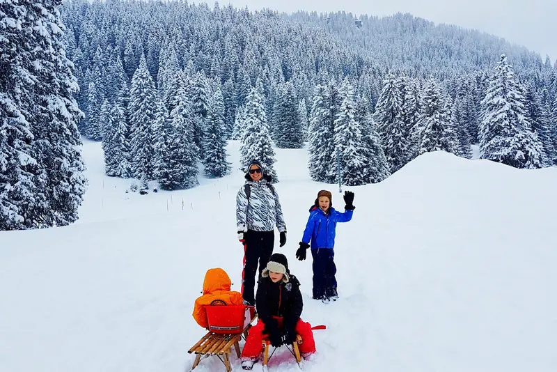 Sledging among snowy firs