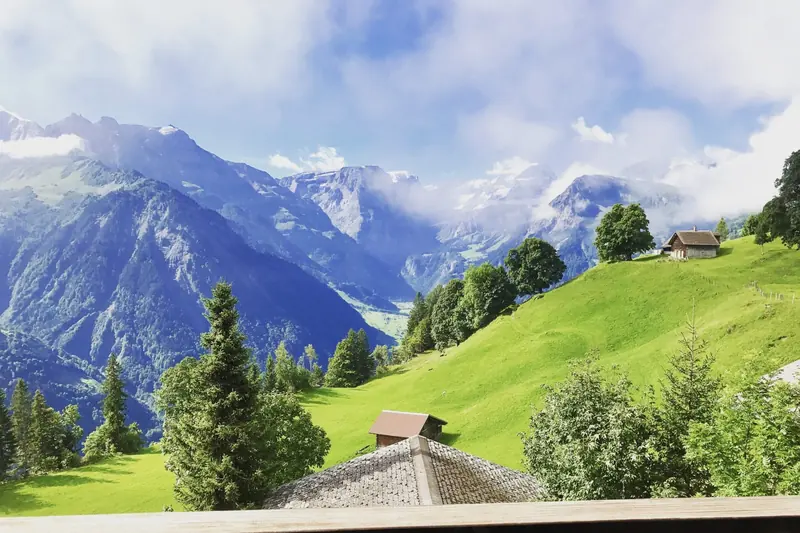 Summer: a green slope with firs and a wooden barn, mountains in the clouds