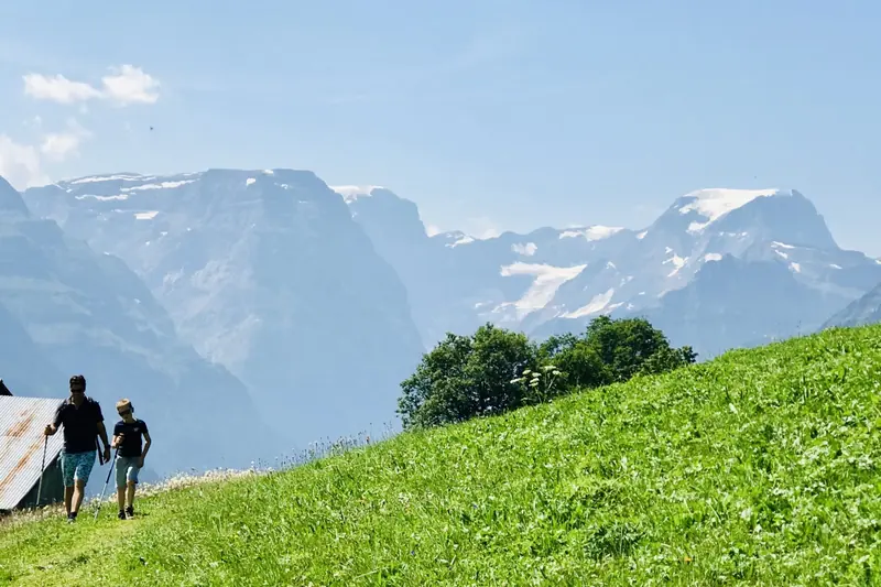 Two walkers with poles on a green slope